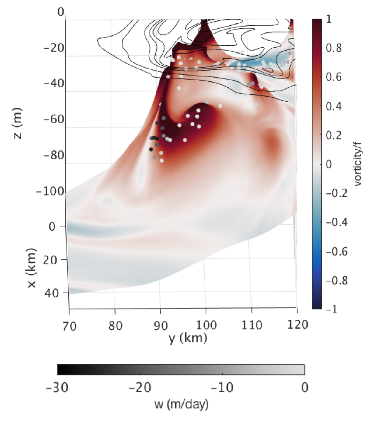 particles subducting on a cyclonic feature in a model